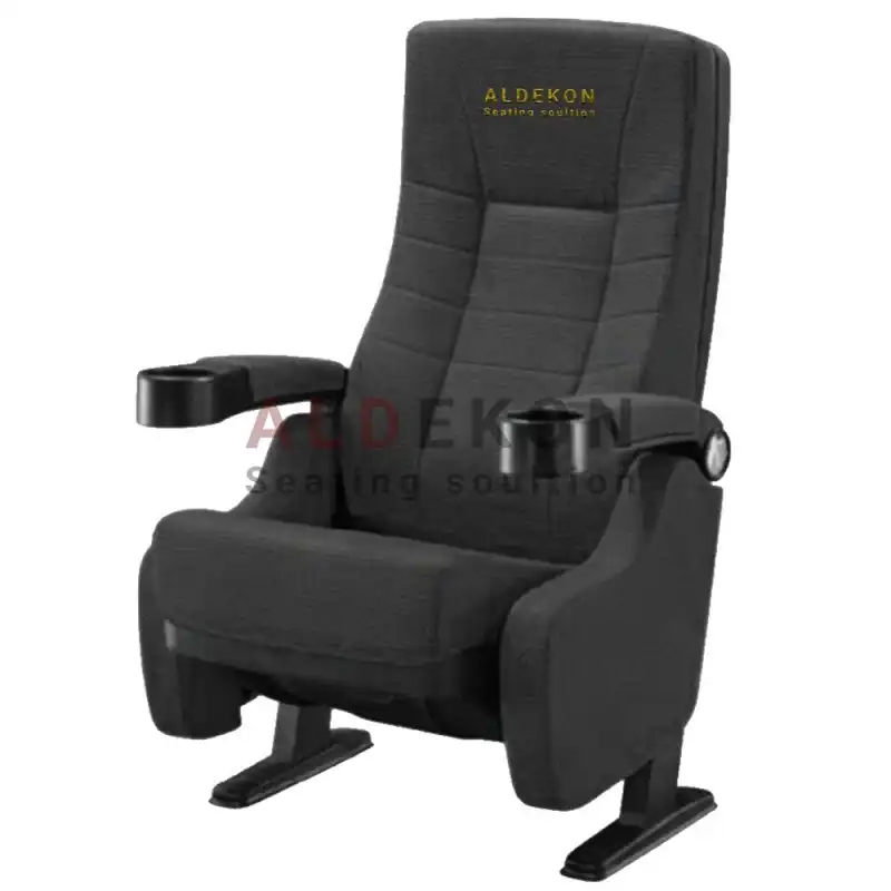 Novosibirsk Sinema Koltuk 1