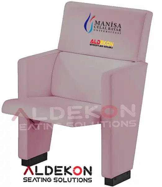 rwanda-konferans-sinema-koltugu-09